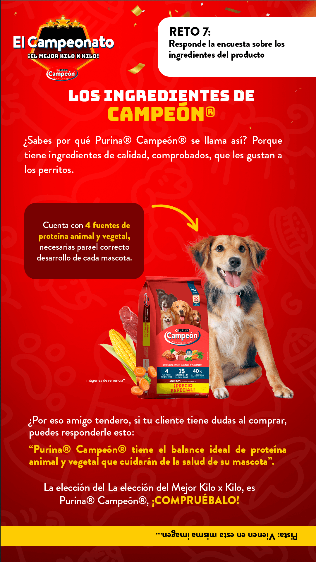 Ver infografía 7