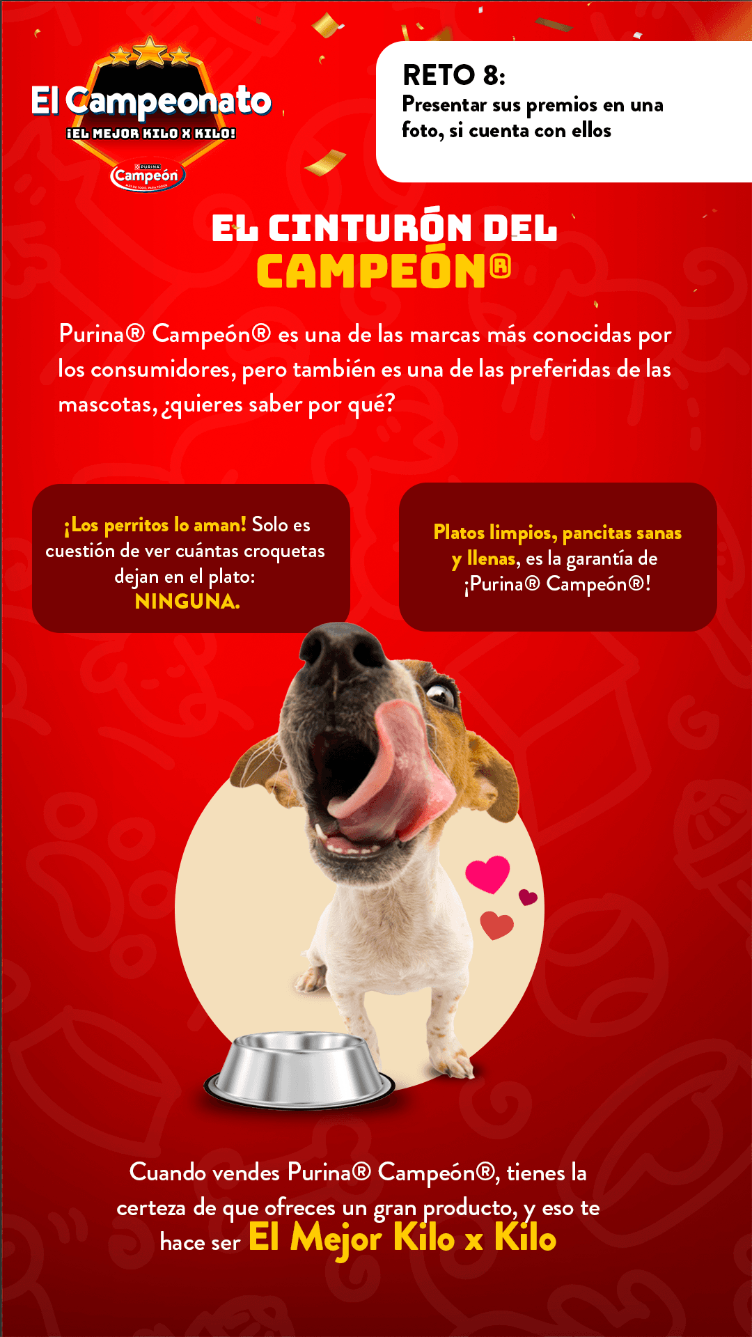 Ver infografía 8