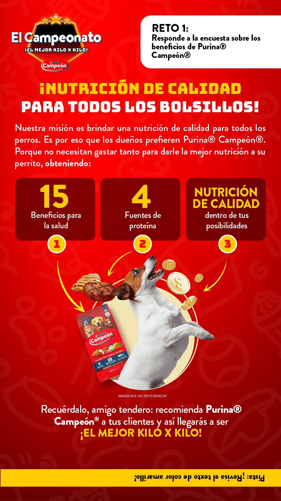 Ver infografía 1