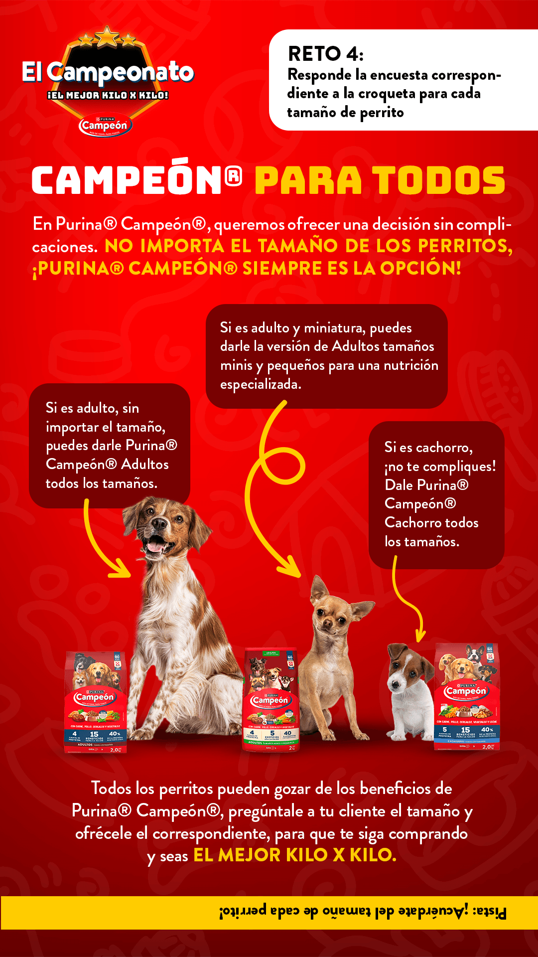 Ver infografía 4