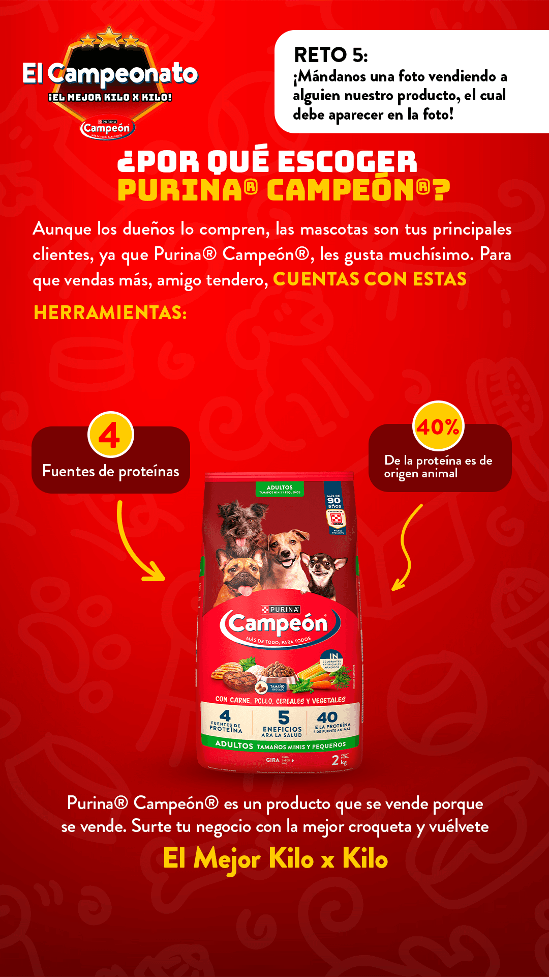 Ver infografía 5