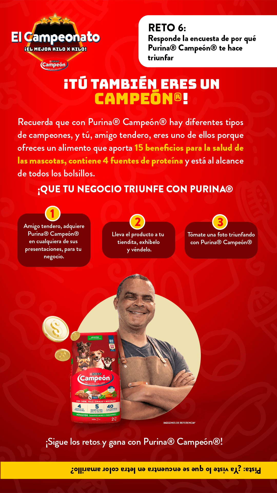 Ver infografía 6