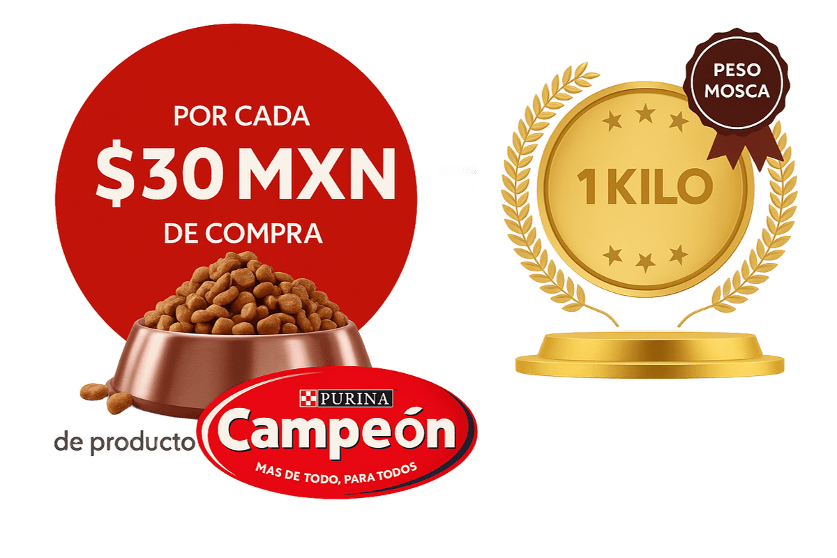 Peso mosca