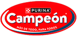 Logo Campeón
