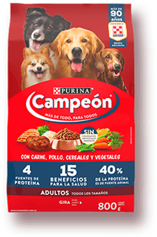 Pollo Frito